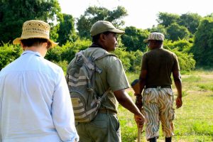Explore Africa safari with private guide